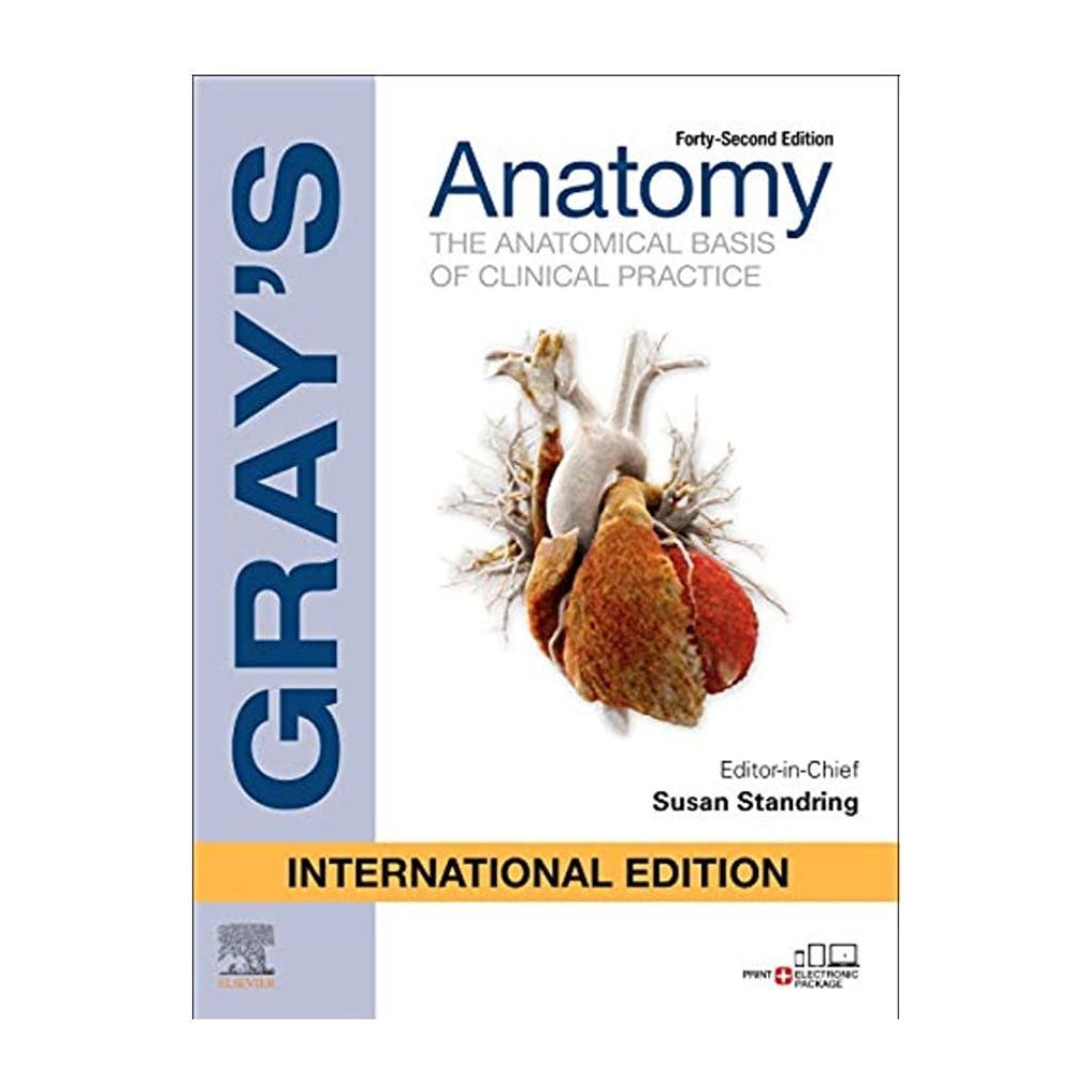 Gray's Anatomy International Edition